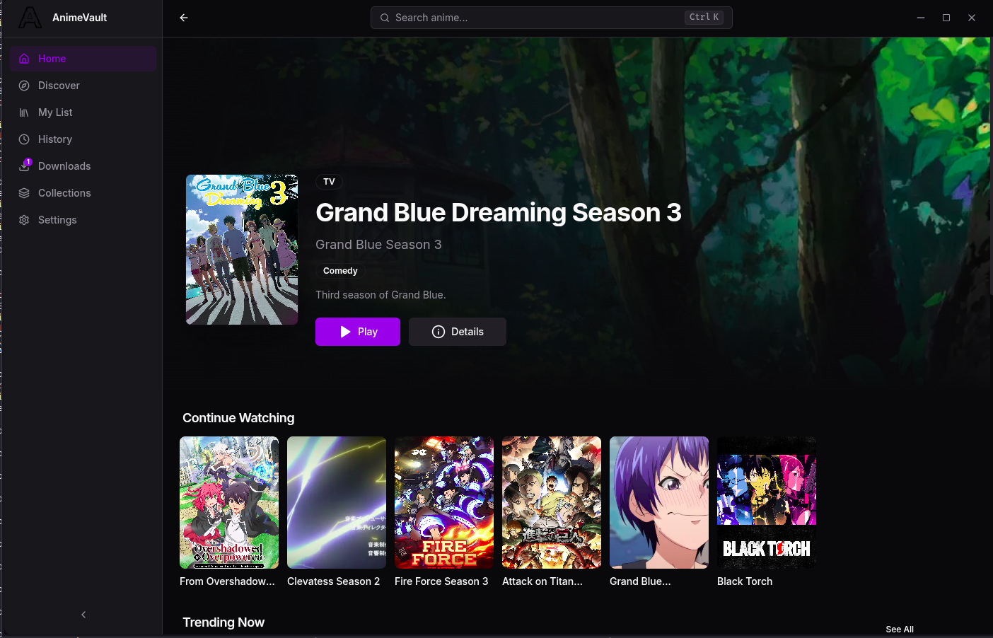 AnimeVault application preview